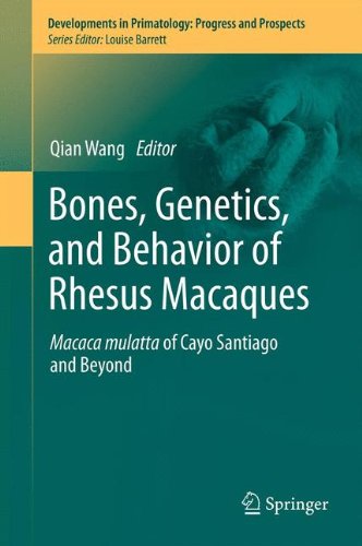 Bones Genetics And Behavior Of Rhesus Macaques Macaca Mulatta Of Cayo Santiago And Beyond 1st Edition Donald C Dunbar Auth
