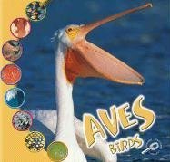 Aves Bilingual Ted Ohare