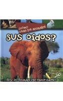 Como Usan Los Animales Sus Oidos How Do Animals Use Their Ears Bilingual Lynn M Stone