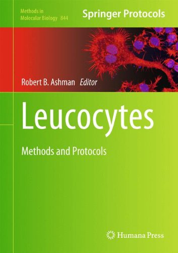 Leucocytes Methods In Molecular Biology V844 2012th Edition Robert B Ashman
