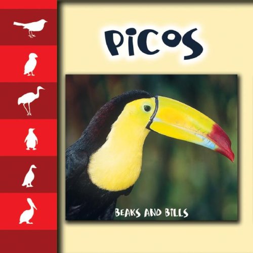 Picos Beaks And Bills Bilingual Mel Higginson