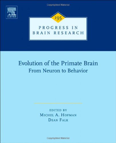 Evolution Of The Primate Brain 1st Edition Michel A Hofman And Dean Falk Eds