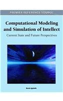 Computational Modeling And Simulation Of Intellect Current State And Future Perspectives 1st Edition Boris Igelnik
