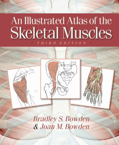 An Illustrated Atlas Of The Skeletal Muscles 3rd Edition 3rd Edition Bradley S Bowden
