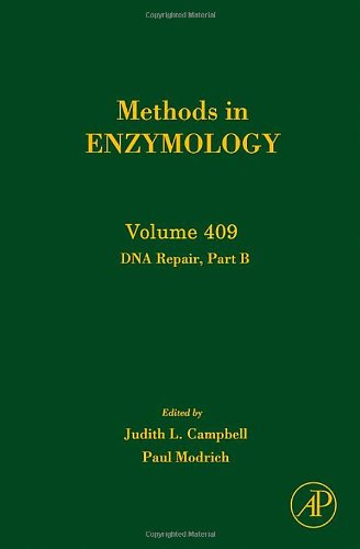 Dna Repair 1st Edition Judith L Campbell Paul Modrich