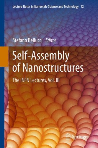 Selfassembly Of Nanostructures The Infn Lectures Vol Iii 1st Edition Michele Giulianini