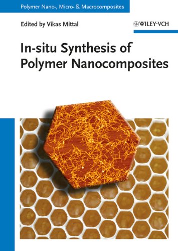 In Situ Synthesis Of Polymer Nanocomposites 1st Edition Vikas Mittal