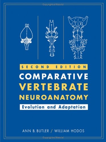 Comparative Vertebrate Neuroanatomy Second Edition 2nd Ann B Butler