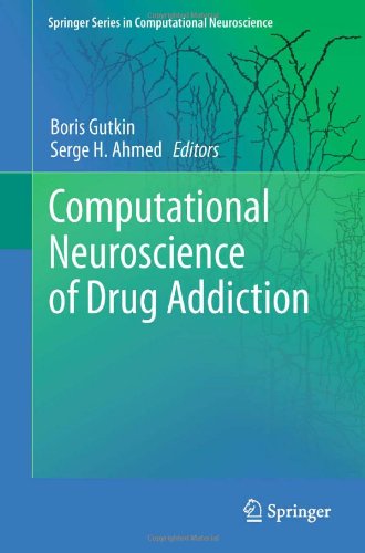 Computational Neuroscience Of Drug Addiction 1st Edition Vladimir L Tsibulsky