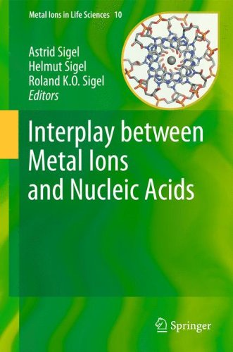 Interplay Between Metal Ions And Nucleic Acids 1st Edition Maria Pechlaner