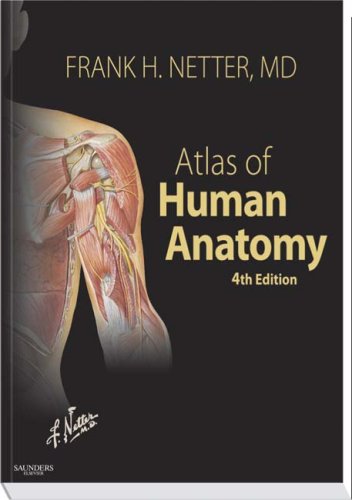 Atlas Of Human Anatomy 4e Netter Basic Science 4th Frank H Netter Md