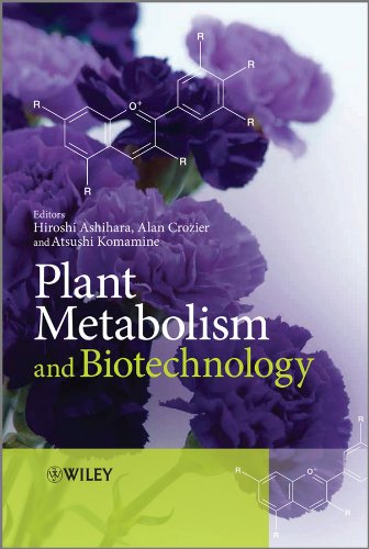 Plant Metabolism And Biotechnology 1st Edition Hiroshi Ashihara