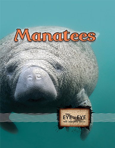 Manatees Precious Stearns Precious Mckenzie