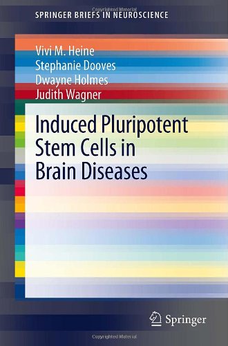 Induced Pluripotent Stem Cells In Brain Diseases Understanding The Methods Epigenetic Basis And Applications For Regenerative Medicine 1st Edition Vivi M Heine