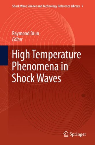 High Temperature Phenomena In Shock Waves 1st Edition R Brun Auth