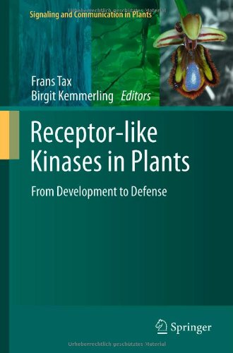 Receptorlike Kinases In Plants From Development To Defense 1st Edition Melissa D Lehtishiu