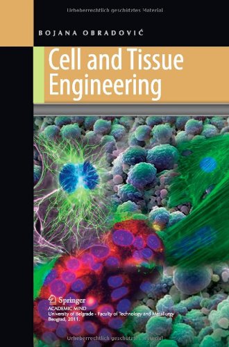 Cell And Tissue Engineering 2012th Edition Bojana Obradovi