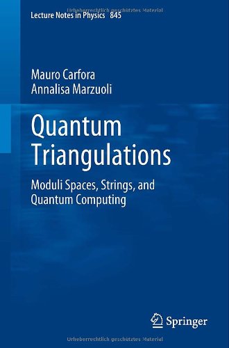 Quantum Triangulations Moduli Spaces Strings And Quantum Computing 1st Edition Mauro Carfora