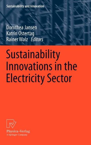 Sustainability Innovations In The Electricity Sector 1st Edition Dorothea Jansen Auth