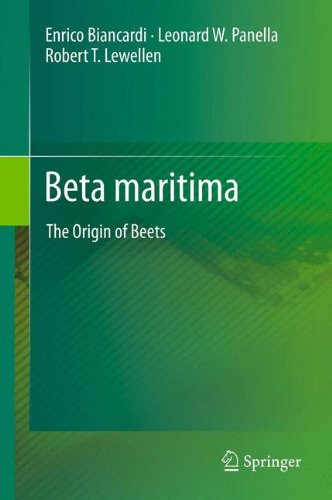 Beta Maritima The Origin Of Beets 1st Edition Enrico Biancardi