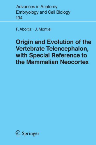 Origin And Evolution Of The Vertebrate Telencephalon With Special Reference To The Mammalian Neocortex 1st Edition Francisco Aboitiz