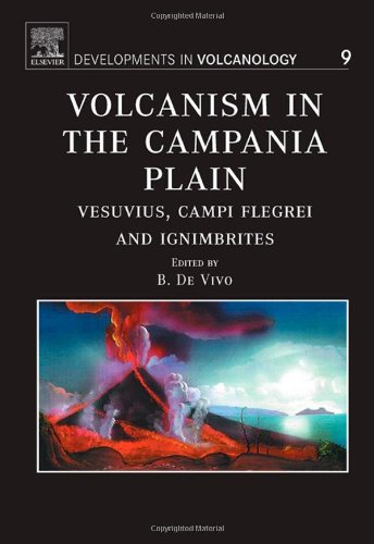 Volcanism In The Campania Plain Vesuvius Campi Flegrei And Ignimbrites 1st Edition B De Vivo