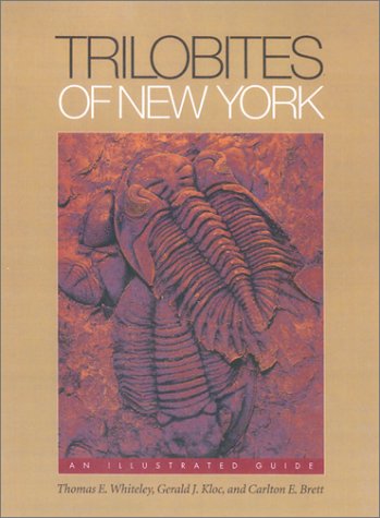 Trilobites Of New York An Illustrated Guide Thomas Edward Whiteley