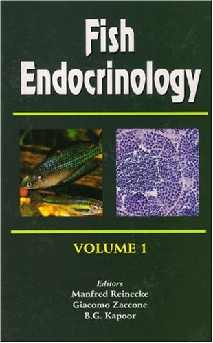 Fish Endocrinology Volume 2 1st Edition Manfred Reinecke Giacomo Zaccone