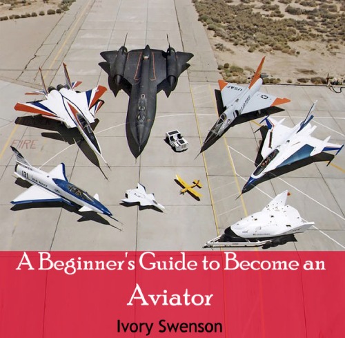 A Beginners Guide To Become An Aviator Ivory Swenson