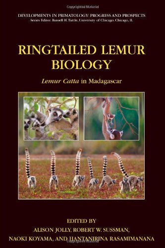 Ringtailed Lemur Biology Lemur Catta In Madagascar Developments In Primatology Softcover Reprint Of Hardcover 1st Ed 2006 Alison Jolly