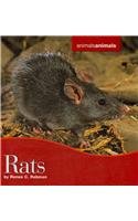Rats Renee C Rebman
