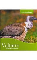 Vultures Renee C Rebman