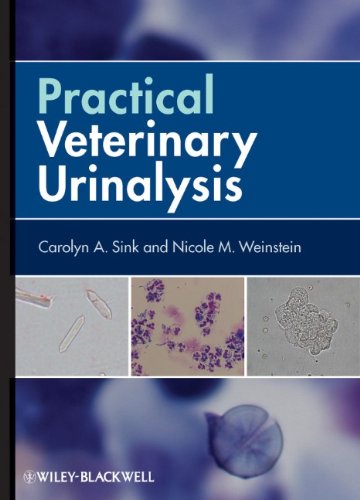 Practical Veterinary Urinalysis 1st Edition Carolyn A Sink Nicole M Weinstein
