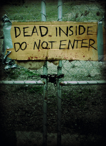 Dead Inside Do Not Enter Notes From The Zombie Apocalypse Lost Zombies