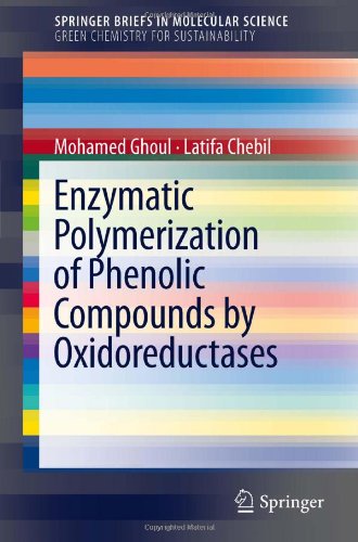Enzymatic Polymerization Of Phenolic Compounds By Oxidoreductases 1st Edition Mohamed Ghoul
