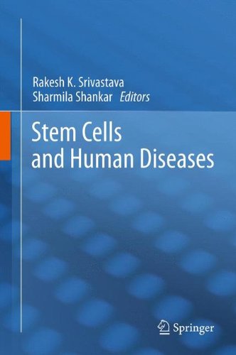 Stem Cells And Human Diseases 1st Edition Brahma N Singh Sharmila Shankar