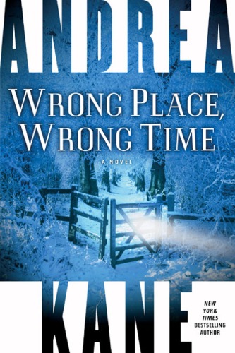 Wrong Place Wrong Time Andrea Kane