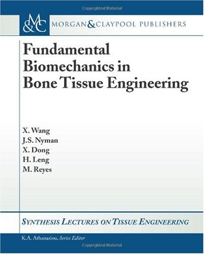 Fundamental Biomechanics In Bone Tissue Engineering Xiadou Wang
