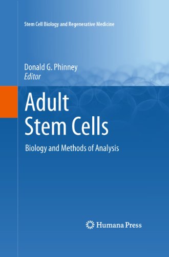 Adult Stem Cells Biology And Methods Of Analysis 1st Edition David M Panchision Auth