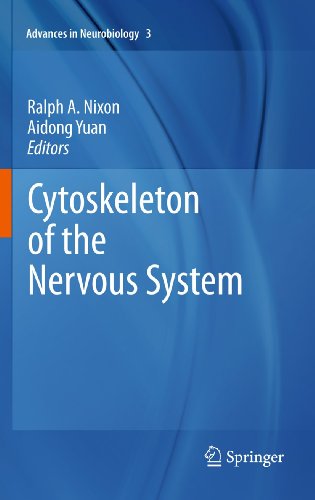 Cytoskeleton Of The Nervous System 1st Edition Robin L Haynes