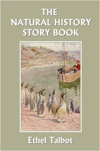 The Natural History Story Book Ethel Talbot