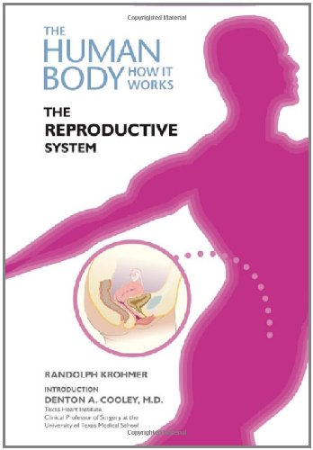 The Reproductive System Randolph W Krohmer