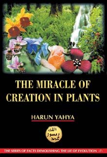 The Miracle Of Creation In Plants Harun Yahya