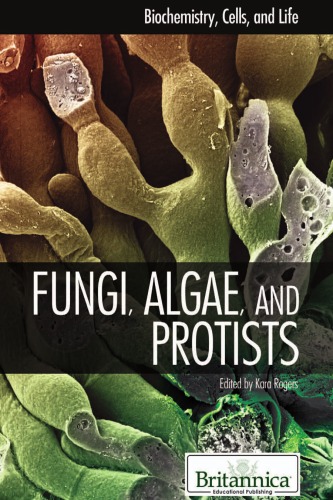 Fungi Algae And Protists Kara Rogers