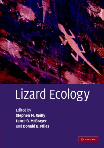 Lizard Ecology 1st Edition Stephen M Reilly Editor Lance B Mcbrayer Editor