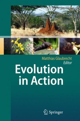 Evolution In Action Case Studies In Adaptive Radiation Speciation And The Origin Of Biodiversity 1st Edition Harald Schneider