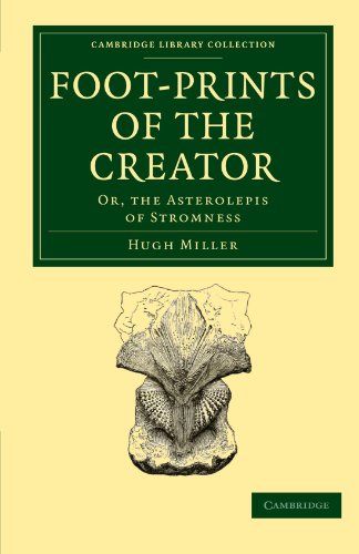 Footprints Of The Creator Or The Asterolepis Of Stromness 1st Edition Hugh Miller