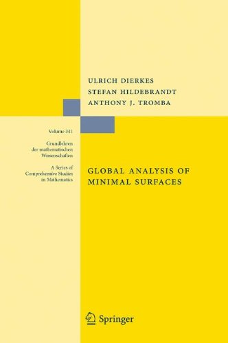 Global Analysis Of Minimal Surfaces 2nd Edition Ulrich Dierkes