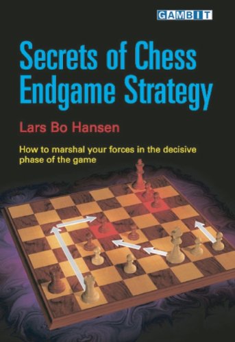 Secrets Of Chess Endgame Strategy Lars Bo Hansen