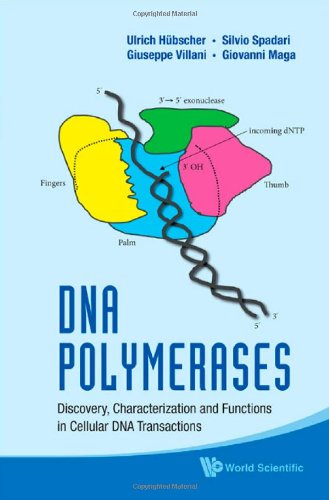 Dna Polymerases Discovery Characterization And Functions In Cellular Dna Transactions 1st Edition Ulrich Hbscher